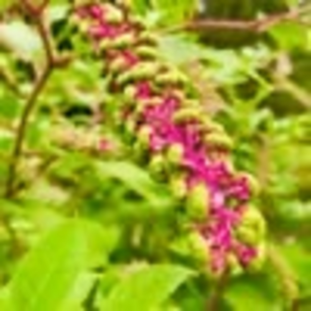 Meet your Posher, Katherine